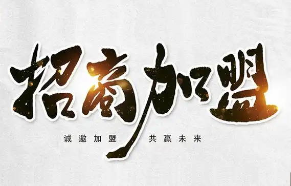 网站资源加盟：搭建专属数字资源帝国，100% 收益归您